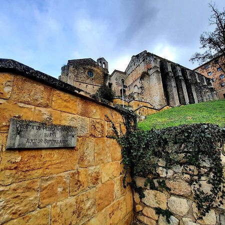 Apartamento Medieval En El Camino De Santiago Estella Esterno foto
