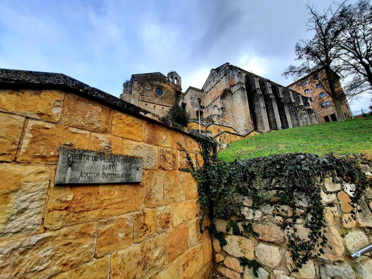 Apartamento Medieval En El Camino De Santiago Estella Esterno foto